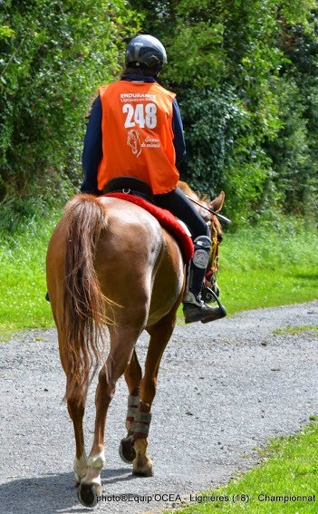 Photo de profil de lea08