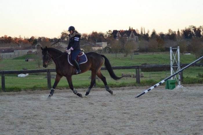 Photo de profil de leaclementlea