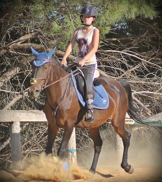 Photo de profil de leledu83490
