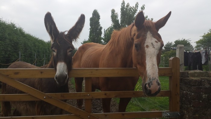 Photo de profil de leonard62128