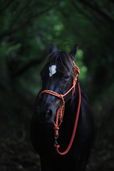 Photo de profil de lhf3