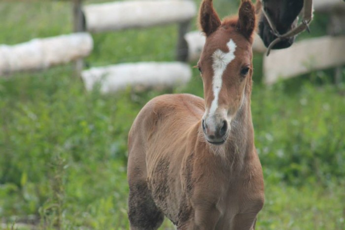 Photo de profil de lily28