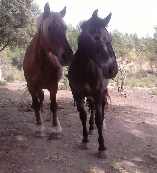 Photo de profil de lisa6230