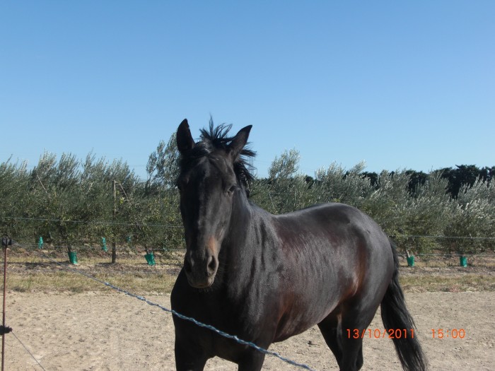 Photo de profil de lisaem