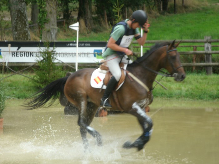 Photo de profil de lovehorseriding
