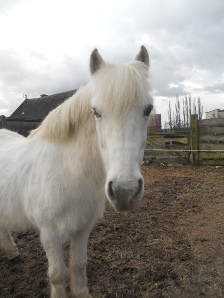 Photo de profil de lucien02