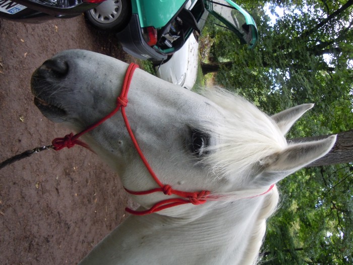 Photo de profil de lucilegourdin