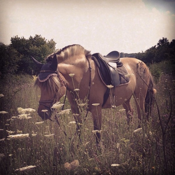 Photo de profil de maargauux77