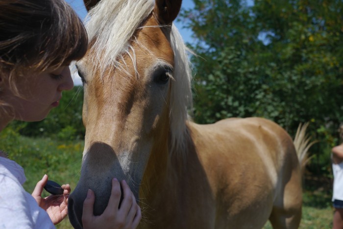 Photo de profil de manolyta