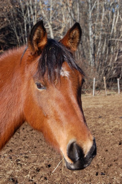 Photo de profil de manou63790
