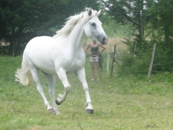 Photo de profil de margauxktb
