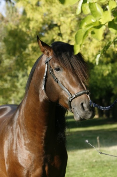 Photo de profil de mariaestela