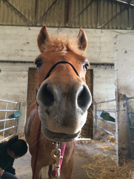 Photo de profil de marionkaline