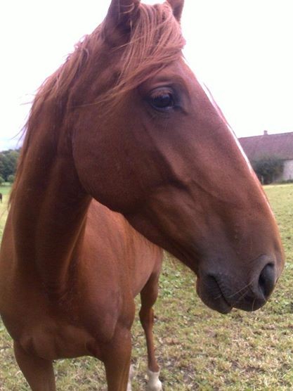 Photo de profil de martensecret