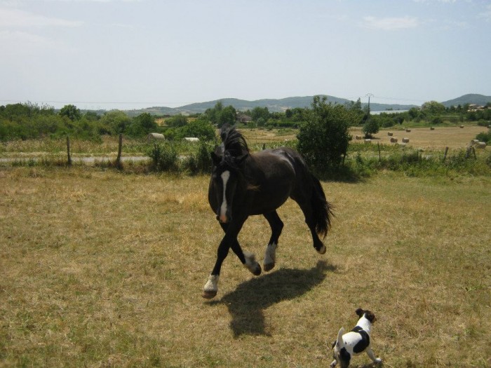 Photo de profil de matmerens