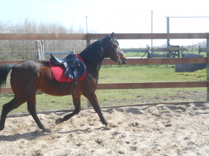 Photo de profil de matthew62100