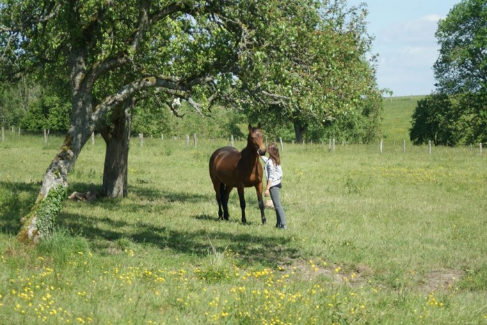 Photo de profil de mcab