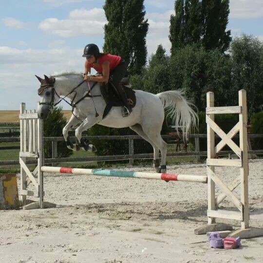 Photo de profil de mdc78