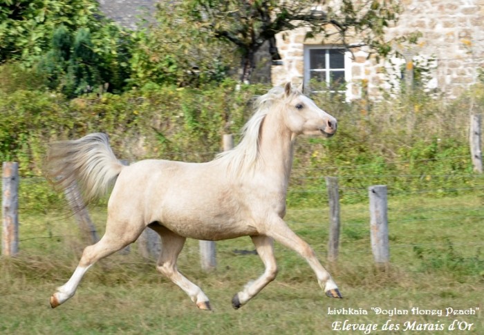 Photo de profil de mdor