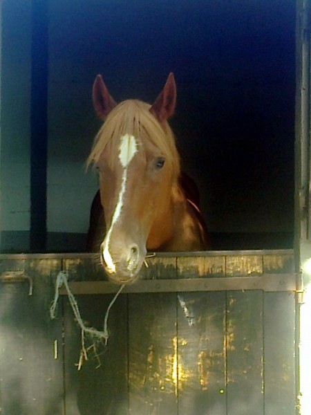 Photo de profil de mdraudrey