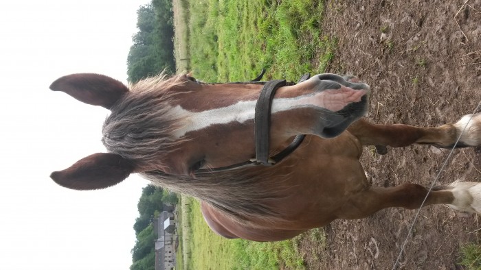 Photo de profil de mel3335