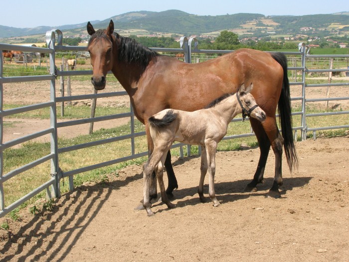 Photo de profil de melideimori