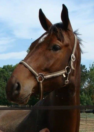 Photo de profil de melissachs