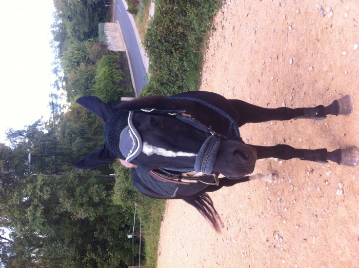 Photo de profil de mephistoetlou
