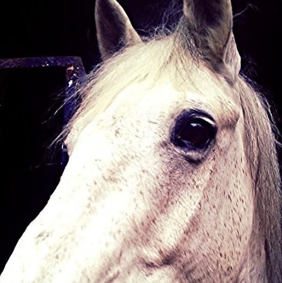 Photo de profil de meriemhoorsy