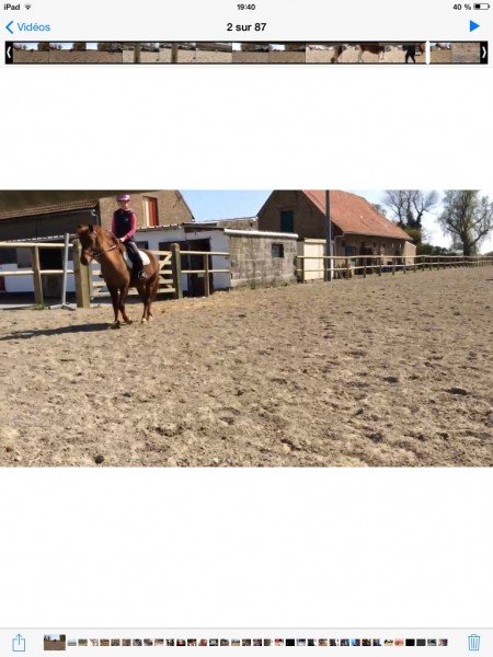 Photo de profil de mesloulous_chev