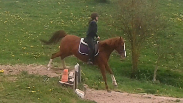 Photo de profil de mila14