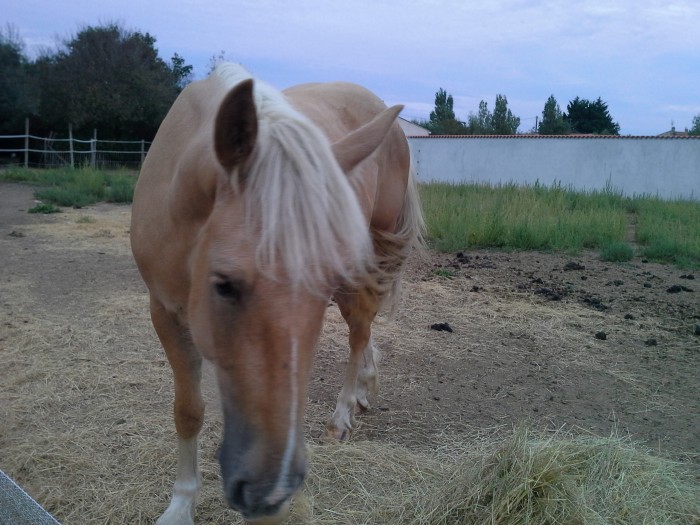 Photo de profil de mireille37