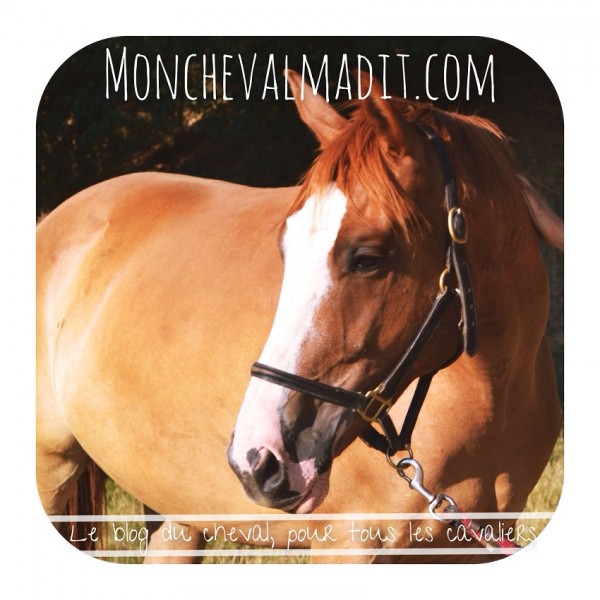 Photo de profil de monchevalmadit