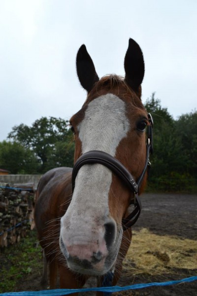 Photo de profil de naika