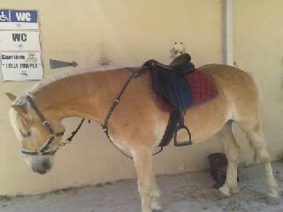Photo de profil de nathdu13