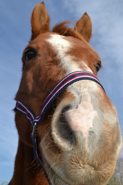 Photo de profil de nelsonoh