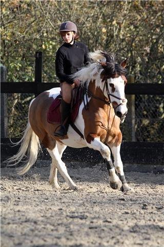 Photo de profil de nemoux