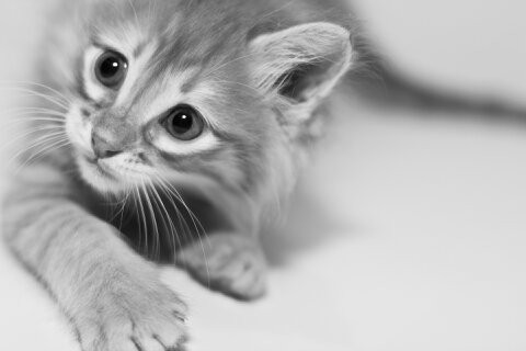 Photo de profil de newbaila