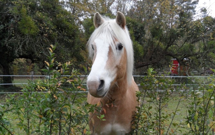 Photo de profil de nicolasba