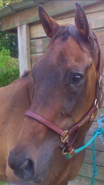 Photo de profil de nofuss
