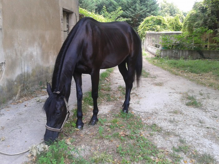 Photo de profil de oliie