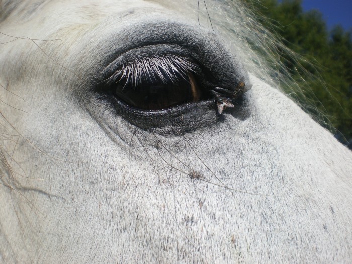 Photo de profil de ouladrea1