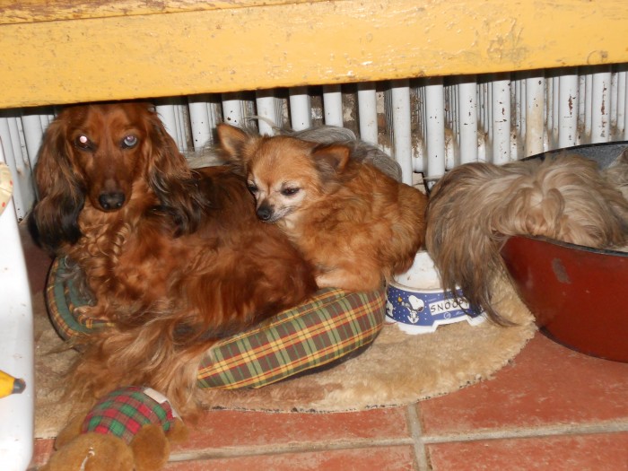 Photo de profil de patouf