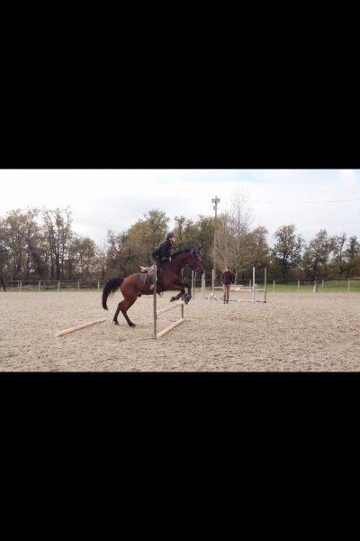 Photo de profil de paulia