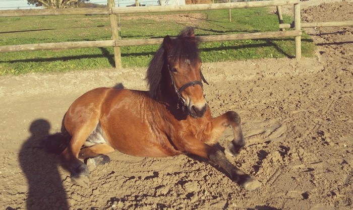 Photo de profil de pepette2203