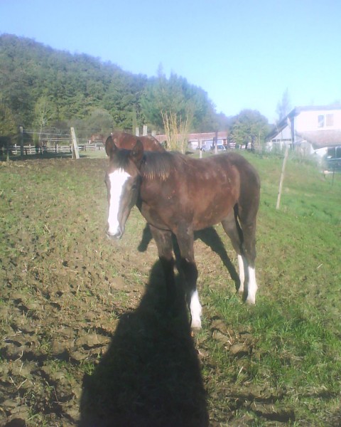 Photo de profil de pepsi1963