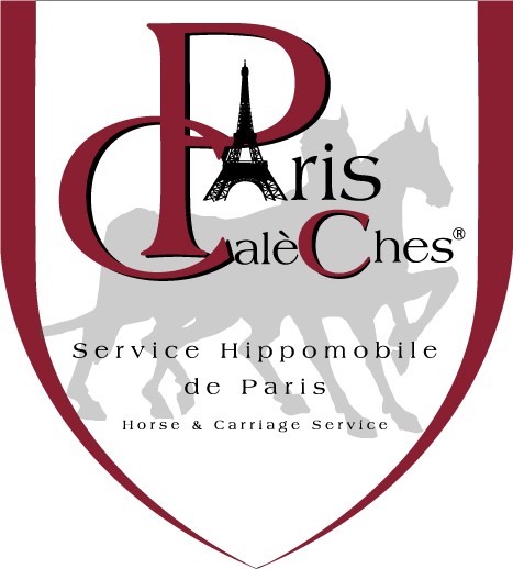 Photo de profil de philosophiste