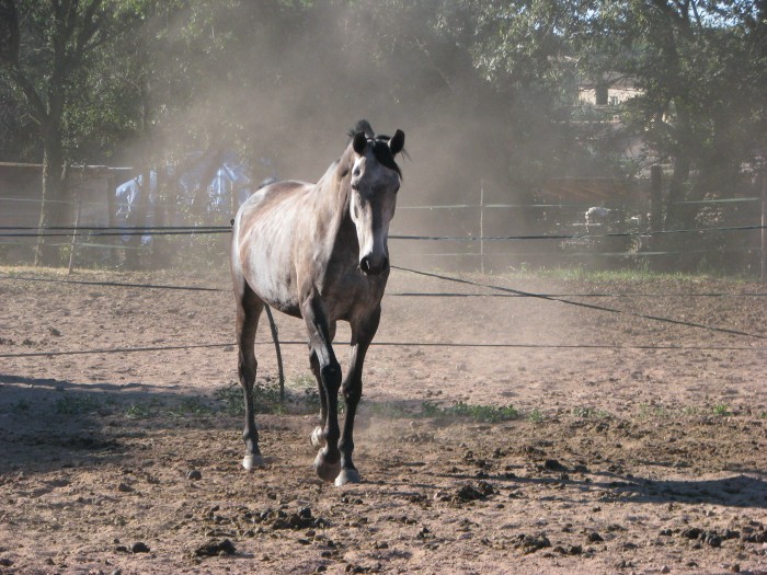 Photo de profil de pinup12ans