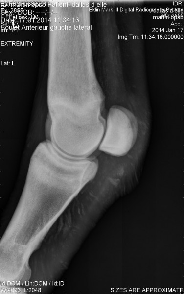 Photo de profil de polyfourchette