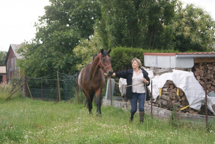 Photo de profil de pouic62128